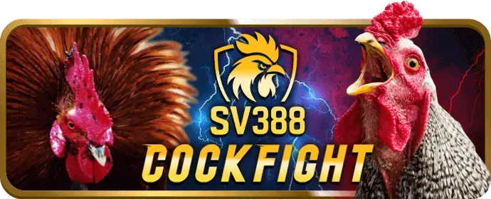 Trò chơi slot video hiện đại với vòng quay thưởng